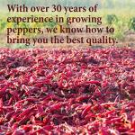 Aleppo Pepper Flakes - 4 oz. Crushed Spice