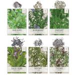 Culinary Herb Seeds Variety Pack for Gardeners