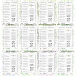 Culinary Herb Seeds Variety Pack for Gardeners