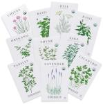Organic Herb Seed Starter Kit (10-Pack)