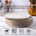 AmorArc Handmade Reactive Glaze Dinner Plates Set