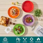 Vancasso Bonita 10.5 Inch Ceramic Dinner Plates Set