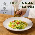 6-Piece Vanilla White Ceramic Dinner Plate Set