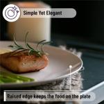 White Porcelain Dinner Plates Set of 6 - 10.5 Inch