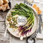 Large Set of 4 Ceramic Dinner Plates