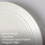 Famiware 10.25-Inch Reactive Glaze Dinner Plates Set