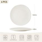 Famiware 10.25-Inch Reactive Glaze Dinner Plates Set