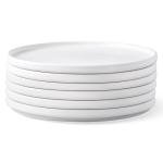 AmorArc 10.5 Inch Stoneware Dinner Plates Set of 6
