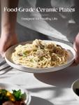 DOWAN 10.5" Large Ceramic Dinner Plates Set