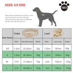 YUDOTE Medium Soft Corduroy Dog Collar and Leash Set