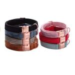 Soft Velvet Dog Collar and Leash Set