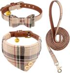 3-Piece Small Dog Collar and Leash Set