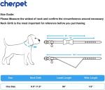 Plaid Dog Collar and Leash Set with Bow Tie