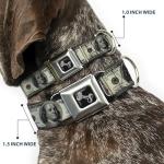 Dollar Bills Seatbelt Collar for Dogs 15-26 Inch