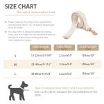 Medium Dog Collar and Leash Set with Flowers