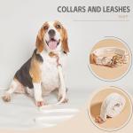 Medium Dog Collar and Leash Set with Flowers