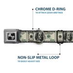 Dollar Bills Seatbelt Collar for Dogs 15-26 Inch