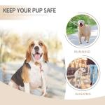 Medium Dog Collar and Leash Set with Flowers