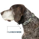 Dollar Bills Seatbelt Collar for Dogs 15-26 Inch