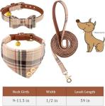 3-Piece Small Dog Collar and Leash Set