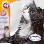 Arm & Hammer Dander & Odor Control Shampoo for Cats