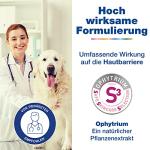 Douxo Calm Shampoo for Dogs and Cats