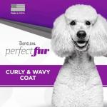 TropiClean Perfect Fur Shampoo for Curly Dogs