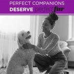 TropiClean Perfect Fur Shampoo for Curly Dogs