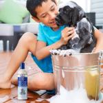 Fido’s Oodle Shampoo for Poodles and Curly Dogs