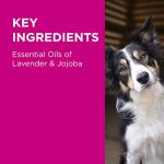 PAW by Blackmores 2-in-1 Dog Shampoo 500ml