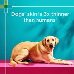 PAW by Blackmores 2-in-1 Dog Shampoo 500ml