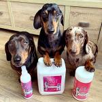 Pretty Pooch Gentle Touch Dog Shampoo & Conditioner