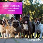 Pretty Pooch Gentle Touch Dog Shampoo & Conditioner