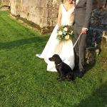 YUDOTE Medium Soft Corduroy Dog Collar and Leash Set