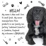 Bugalugs 2-in-1 Papaya & Coconut Dog Shampoo