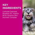 NutriDerm Itchy Skin Duo for Dogs and Cats