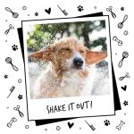 Bugalugs 2-in-1 Papaya & Coconut Dog Shampoo