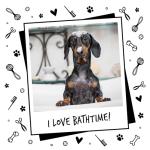 Bugalugs 2-in-1 Papaya & Coconut Dog Shampoo