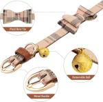 3-Piece Small Dog Collar and Leash Set
