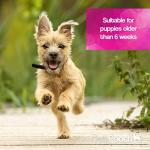 Gentle Touch Dog Shampoo & Conditioner 5L