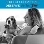 TropiClean Perfect Fur Short Coat Dog Shampoo