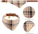 3-Piece Small Dog Collar and Leash Set