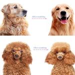 Double-Sided Grooming Brush for Dogs and Cats
