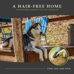 Double-Sided Grooming Brush for Dogs and Cats