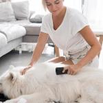 Deshedding Brush for Cats, Dogs, and Horses