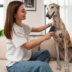 Deshedding Brush for Cats, Dogs, and Horses