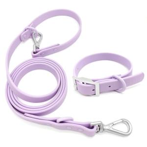 Waterproof Adjustable Dog Collar and Leash Set