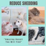 Pet Grooming Brush Set for Dogs and Cats