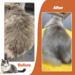 ACE2ACE Cat and Dog Grooming Brush