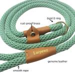 Soft Paracord Slip Lead Leash for Large Dogs